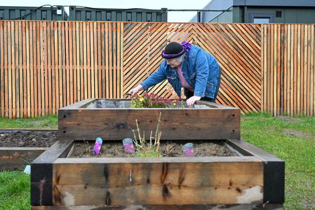 A person wearing a hat and blue jacket tends to the raised beds, outside in the community garden